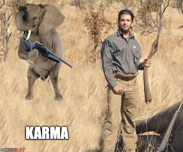 KARMA | made w/ Imgflip meme maker