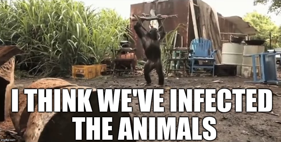 I THINK WE'VE INFECTED THE ANIMALS | image tagged in harambe jr | made w/ Imgflip meme maker