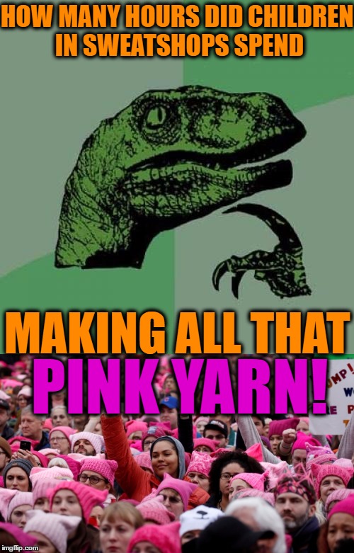Women Creating Jobs For Poor Kids | HOW MANY HOURS DID CHILDREN IN SWEATSHOPS SPEND; MAKING ALL THAT; PINK YARN! | image tagged in philosoraptor,womens march,human rights,liberal vs conservative,mothers love,bad parents | made w/ Imgflip meme maker