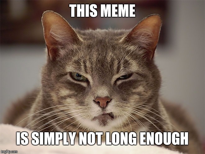 Sarcasm Cat | THIS MEME IS SIMPLY NOT LONG ENOUGH | image tagged in sarcasm cat | made w/ Imgflip meme maker