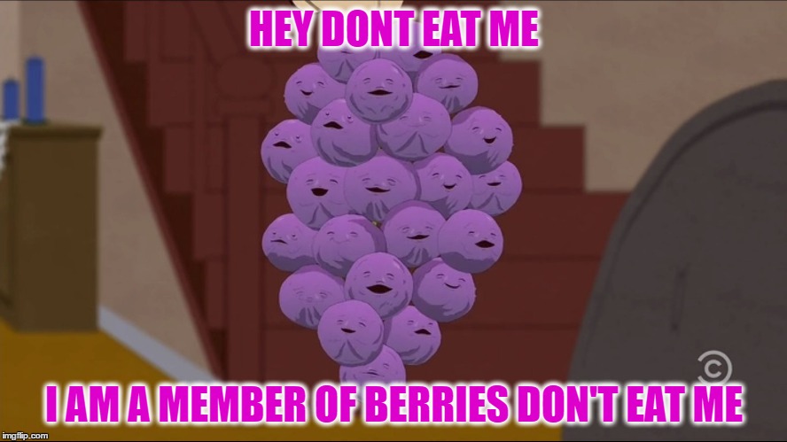 Member Berries | HEY DONT EAT ME; I AM A MEMBER OF BERRIES DON'T EAT ME | image tagged in memes,member berries | made w/ Imgflip meme maker