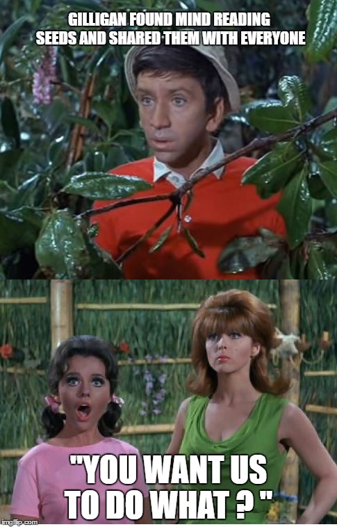 WHAT IS ON EVER:YONE's MIND ?  | GILLIGAN FOUND MIND READING SEEDS AND SHARED THEM WITH EVERYONE; "YOU WANT US TO DO WHAT ? " | image tagged in gilligan bad pun | made w/ Imgflip meme maker