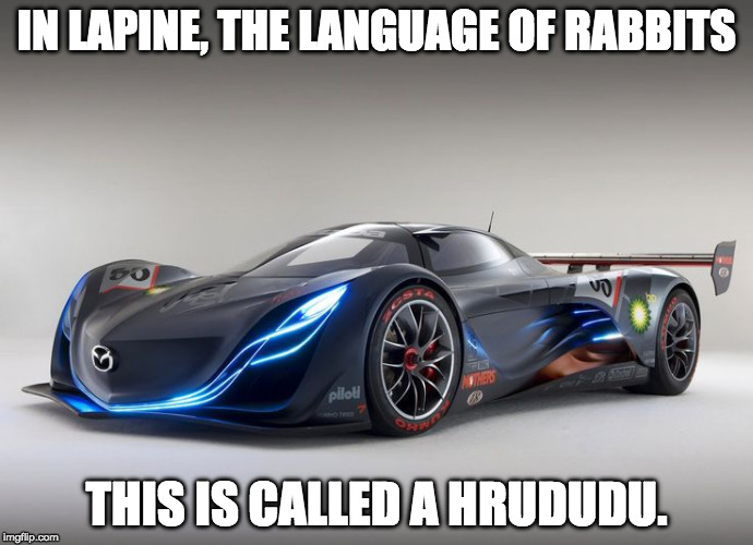 IN LAPINE, THE LANGUAGE OF RABBITS; THIS IS CALLED A HRUDUDU. | image tagged in funny memes | made w/ Imgflip meme maker