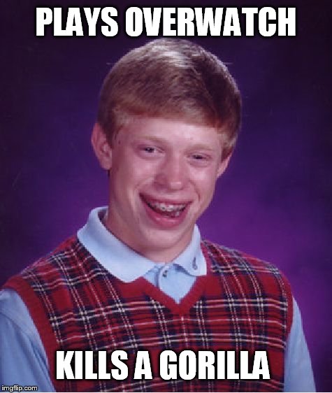 Bad Luck Brian | PLAYS OVERWATCH; KILLS A GORILLA | image tagged in memes,bad luck brian | made w/ Imgflip meme maker