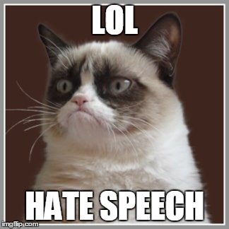 LOL; HATE SPEECH | image tagged in lolhate | made w/ Imgflip meme maker