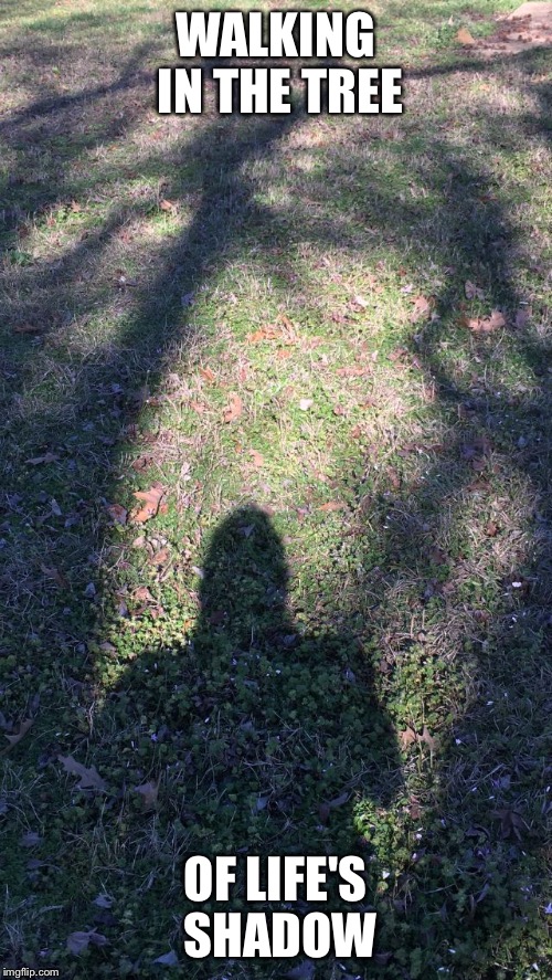 WALKING IN THE TREE; OF LIFE'S SHADOW | image tagged in personal | made w/ Imgflip meme maker