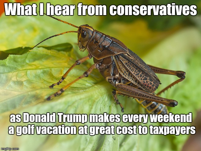 Conservative Crickets | What I hear from conservatives; as Donald Trump makes every weekend a golf vacation at great cost to taxpayers | image tagged in crickets trump golf vacation mar-a-lago | made w/ Imgflip meme maker