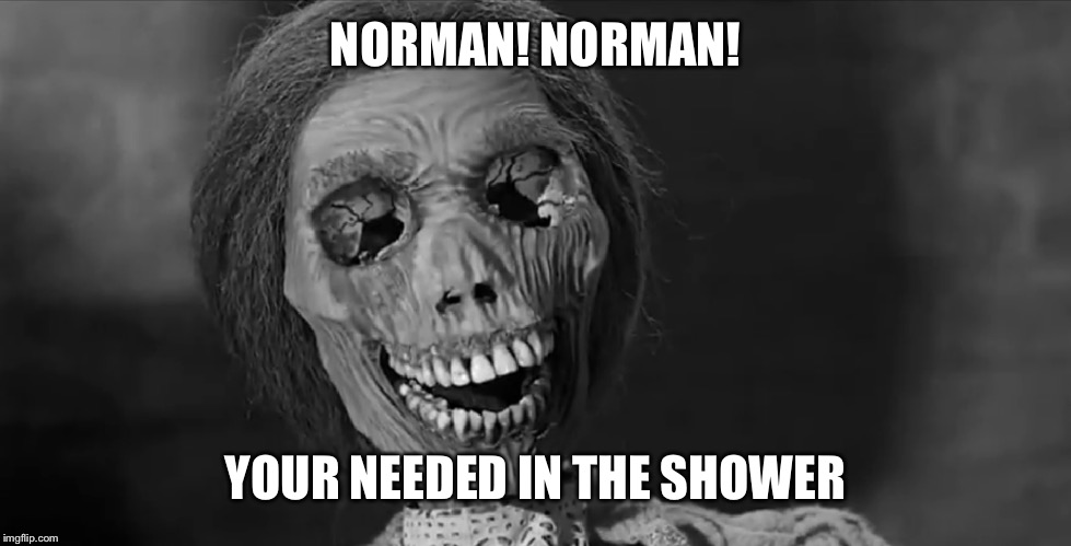 NORMAN! NORMAN! YOUR NEEDED IN THE SHOWER | made w/ Imgflip meme maker