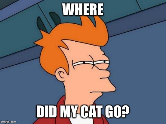 Futurama Fry Meme | WHERE DID MY CAT GO? | image tagged in memes,futurama fry | made w/ Imgflip meme maker