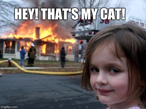 Disaster Girl Meme | HEY! THAT'S MY CAT! | image tagged in memes,disaster girl | made w/ Imgflip meme maker