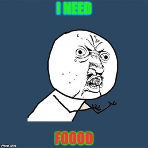 Y U No | I NEED; FOOOD | image tagged in memes,y u no | made w/ Imgflip meme maker