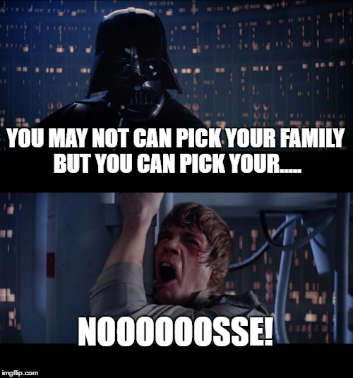Star Wars No Meme | YOU MAY NOT CAN PICK YOUR FAMILY BUT YOU CAN PICK YOUR..... NOOOOOOSSE! | image tagged in memes,star wars no | made w/ Imgflip meme maker