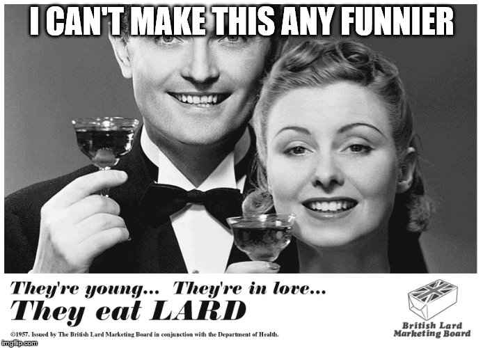 If you can make it funnier, you're my hero. 
 | I CAN'T MAKE THIS ANY FUNNIER | image tagged in memes,lard,i love being the 1st to add a lard tag | made w/ Imgflip meme maker
