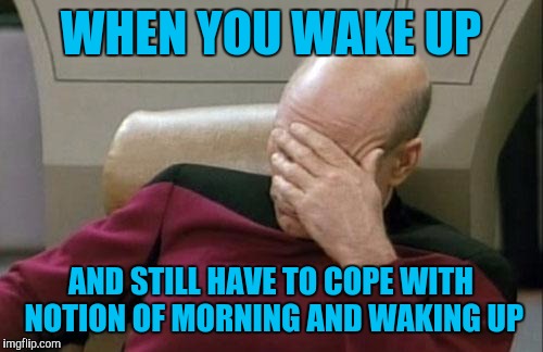 Captain Picard Facepalm Meme | WHEN YOU WAKE UP; AND STILL HAVE TO COPE WITH NOTION OF MORNING AND WAKING UP | image tagged in memes,captain picard facepalm | made w/ Imgflip meme maker