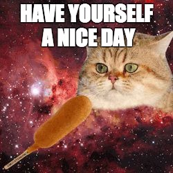 Have Yourself a Nice Day | HAVE YOURSELF A NICE DAY | image tagged in cat,funny cats | made w/ Imgflip meme maker