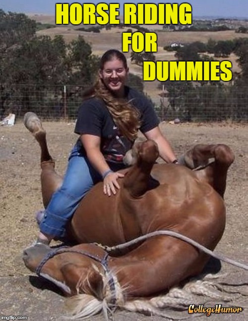 HORSE RIDING DUMMIES FOR | made w/ Imgflip meme maker