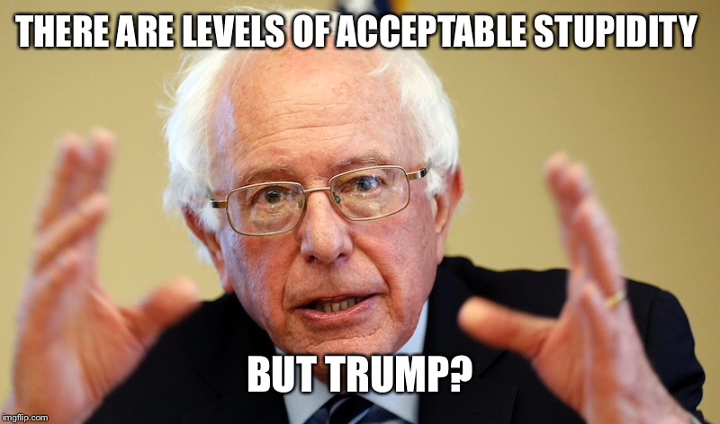 THERE ARE LEVELS OF ACCEPTABLE STUPIDITY BUT TRUMP? | made w/ Imgflip meme maker