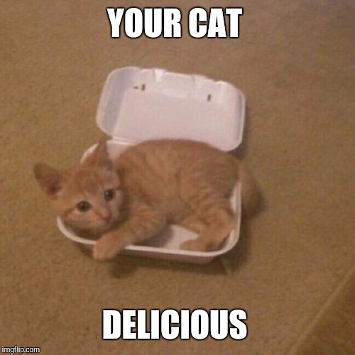 YOUR CAT DELICIOUS | made w/ Imgflip meme maker