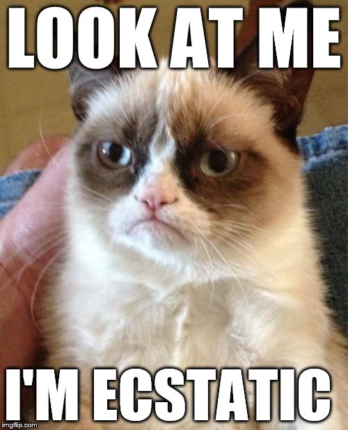 Grumpy Cat Meme | LOOK AT ME I'M ECSTATIC | image tagged in memes,grumpy cat | made w/ Imgflip meme maker