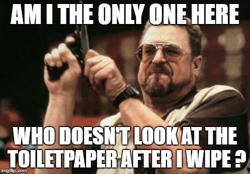 Am I The Only One Around Here Meme | AM I THE ONLY ONE HERE; WHO DOESN'T LOOK AT THE TOILETPAPER AFTER I WIPE ? | image tagged in memes,am i the only one around here | made w/ Imgflip meme maker