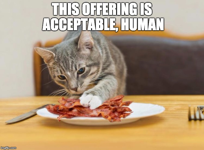 Acceptable Offering | THIS OFFERING IS ACCEPTABLE, HUMAN | image tagged in bacon,cats | made w/ Imgflip meme maker