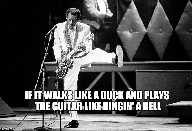 "HAIL , HAIL ROCK 'N' ROLL" | IF IT WALKS LIKE A DUCK AND PLAYS THE GUITAR LIKE RINGIN' A BELL | image tagged in chuck berry,rock and roll | made w/ Imgflip meme maker