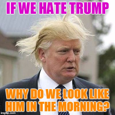 Donald Trump | IF WE HATE TRUMP; WHY DO WE LOOK LIKE HIM IN THE MORNING? | image tagged in donald trump | made w/ Imgflip meme maker