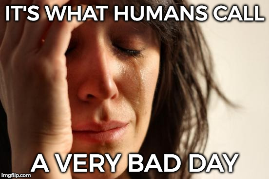 First World Problems Meme | IT'S WHAT HUMANS CALL A VERY BAD DAY | image tagged in memes,first world problems | made w/ Imgflip meme maker