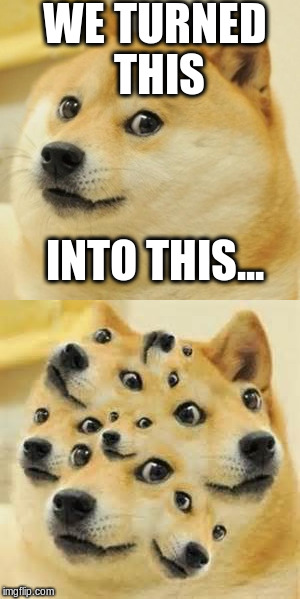 PhotoShop is the evil of the world. | WE TURNED THIS; INTO THIS... | image tagged in memes,doge | made w/ Imgflip meme maker