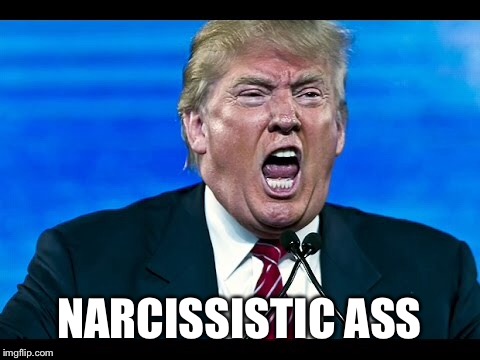 NARCISSISTIC ASS | made w/ Imgflip meme maker