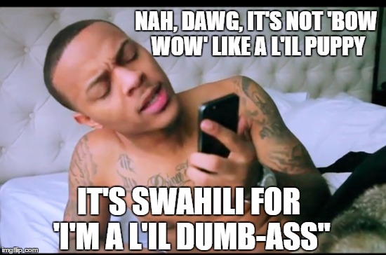 Bow Wow making sure the 'press' gets it straight | NAH, DAWG, IT'S NOT 'BOW WOW' LIKE A L'IL PUPPY; IT'S SWAHILI FOR 'I'M A L'IL DUMB-ASS" | image tagged in bow wow,memes,rappers,liberal vs conservative,just the facts,politics | made w/ Imgflip meme maker