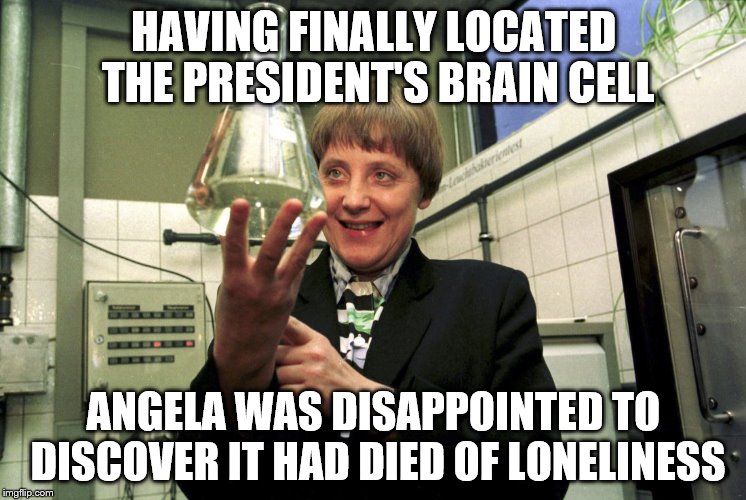 The president's brain is missing! | HAVING FINALLY LOCATED THE PRESIDENT'S BRAIN CELL; ANGELA WAS DISAPPOINTED TO DISCOVER IT HAD DIED OF LONELINESS | image tagged in merkel,angela merkel,donald trump,trump,political humor,science | made w/ Imgflip meme maker