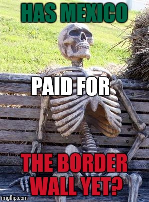Don't Hold Your Breath! | HAS MEXICO; PAID FOR; THE BORDER WALL YET? | image tagged in memes,waiting skeleton | made w/ Imgflip meme maker