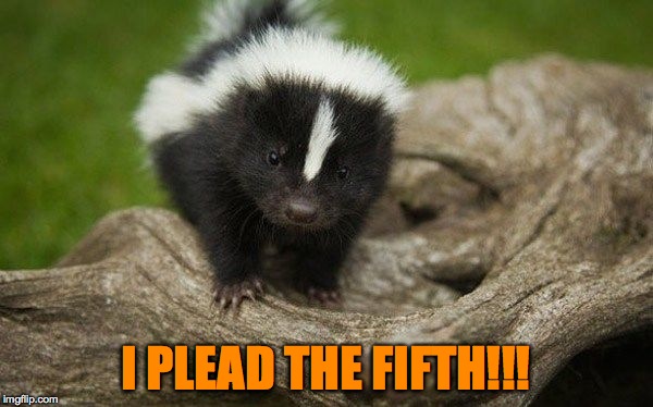 I PLEAD THE FIFTH!!! | made w/ Imgflip meme maker