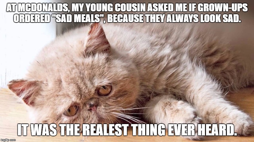 AT MCDONALDS, MY YOUNG COUSIN ASKED ME IF GROWN-UPS ORDERED "SAD MEALS", BECAUSE THEY ALWAYS LOOK SAD. IT WAS THE REALEST THING EVER HEARD. | image tagged in cat,memes | made w/ Imgflip meme maker