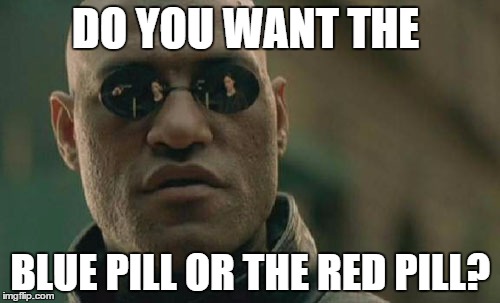 Matrix Morpheus Meme | DO YOU WANT THE; BLUE PILL OR THE RED PILL? | image tagged in memes,matrix morpheus | made w/ Imgflip meme maker