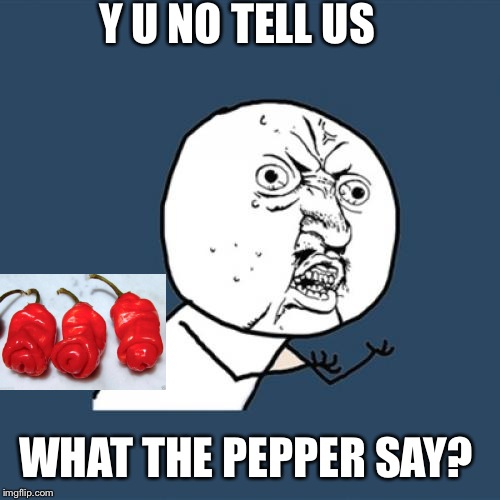 Y U No Meme | Y U NO TELL US WHAT THE PEPPER SAY? | image tagged in memes,y u no | made w/ Imgflip meme maker