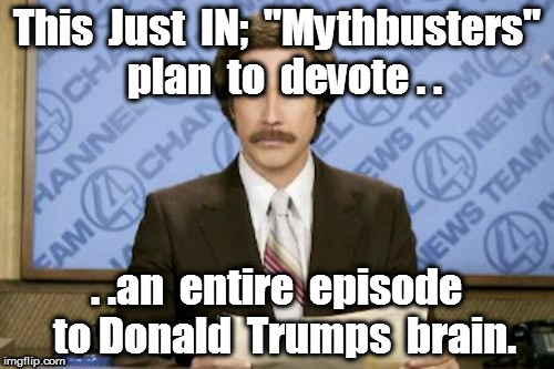 Ron Burgundy | This  Just  IN;  "Mythbusters"  plan  to  devote . . . .an  entire  episode  to Donald  Trumps  brain. | image tagged in memes,ron burgundy | made w/ Imgflip meme maker