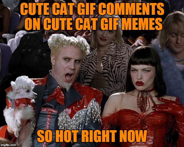 Mugatu So Hot Right Now Meme | CUTE CAT GIF COMMENTS ON CUTE CAT GIF MEMES SO HOT RIGHT NOW | image tagged in memes,mugatu so hot right now | made w/ Imgflip meme maker
