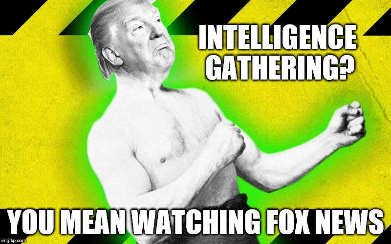 Overly Trumply Trump | INTELLIGENCE GATHERING? YOU MEAN WATCHING FOX NEWS | image tagged in overly trumply trump,donald trump,memes | made w/ Imgflip meme maker
