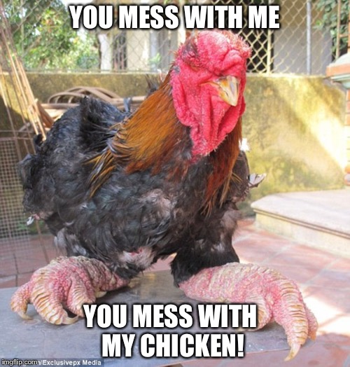 YOU MESS WITH ME; YOU MESS WITH MY CHICKEN! | image tagged in chicken | made w/ Imgflip meme maker