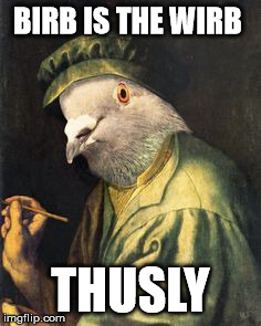 birb is the wirb | BIRB IS THE WIRB; THUSLY | image tagged in birb,bird,bird is the word,funny | made w/ Imgflip meme maker