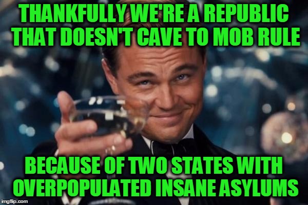 Leonardo Dicaprio Cheers Meme | THANKFULLY WE'RE A REPUBLIC THAT DOESN'T CAVE TO MOB RULE BECAUSE OF TWO STATES WITH OVERPOPULATED INSANE ASYLUMS | image tagged in memes,leonardo dicaprio cheers | made w/ Imgflip meme maker