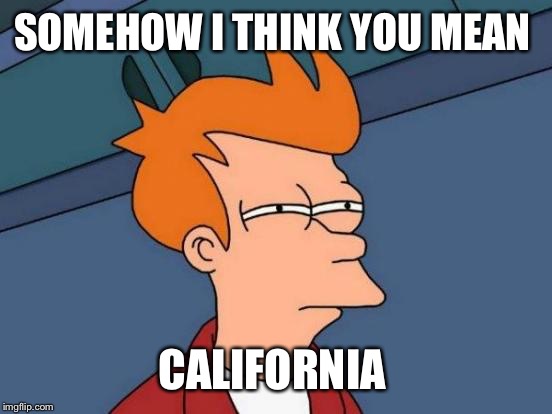 Futurama Fry Meme | SOMEHOW I THINK YOU MEAN CALIFORNIA | image tagged in memes,futurama fry | made w/ Imgflip meme maker