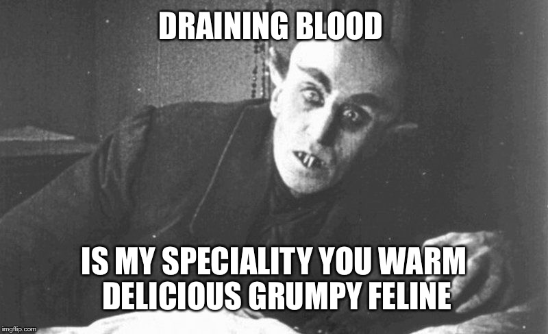DRAINING BLOOD IS MY SPECIALITY YOU WARM DELICIOUS GRUMPY FELINE | made w/ Imgflip meme maker
