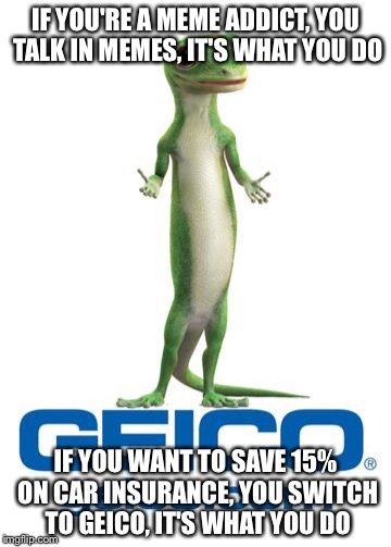 Geico lizard | IF YOU'RE A MEME ADDICT, YOU TALK IN MEMES, IT'S WHAT YOU DO; IF YOU WANT TO SAVE 15% ON CAR INSURANCE, YOU SWITCH TO GEICO, IT'S WHAT YOU DO | image tagged in geico lizard | made w/ Imgflip meme maker