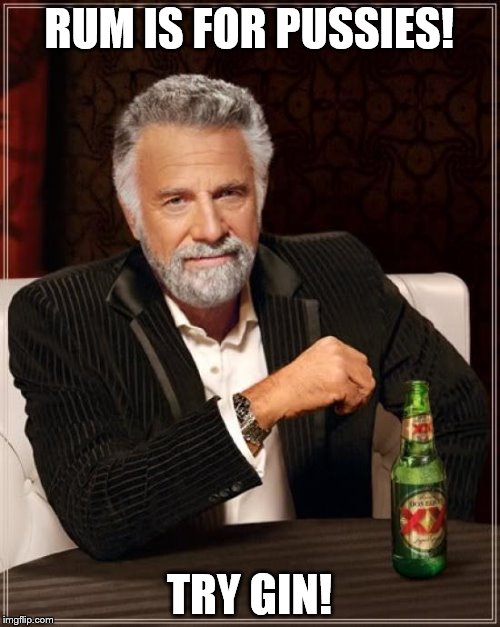 The Most Interesting Man In The World Meme | RUM IS FOR PUSSIES! TRY GIN! | image tagged in memes,the most interesting man in the world | made w/ Imgflip meme maker