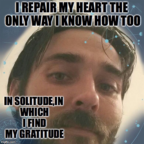 I REPAIR MY HEART THE ONLY WAY I KNOW HOW TOO; IN SOLITUDE,IN WHICH I FIND MY GRATITUDE | image tagged in imgflip | made w/ Imgflip meme maker