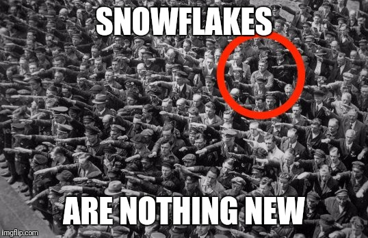 SNOWFLAKES; ARE NOTHING NEW | image tagged in not a nazi | made w/ Imgflip meme maker