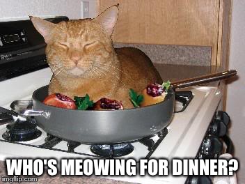 WHO'S MEOWING FOR DINNER? | made w/ Imgflip meme maker